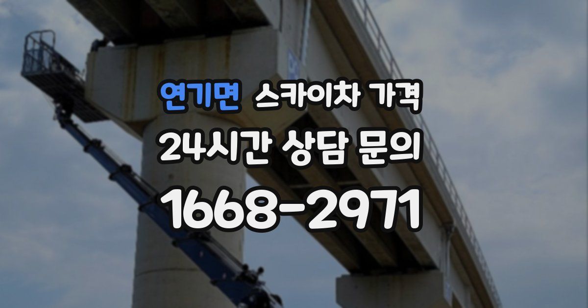 연기면 스카이차 가격