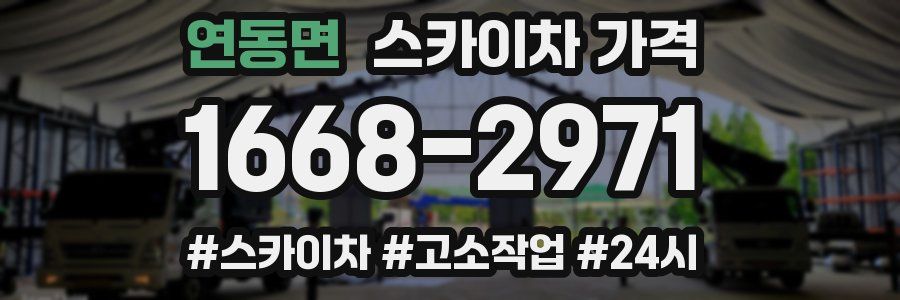 연동면 스카이차 가격