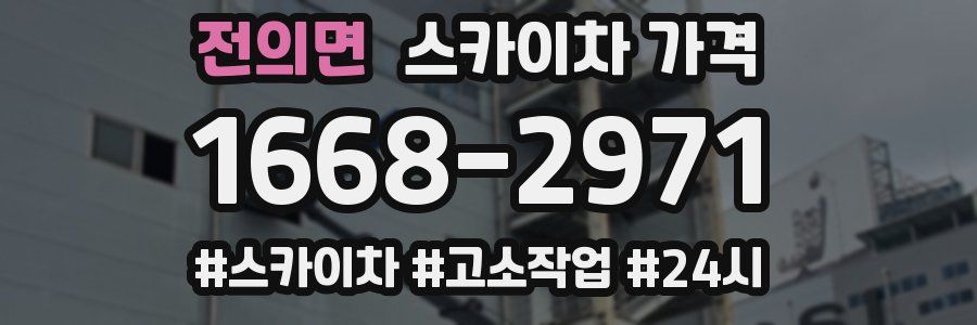 전의면 스카이차 가격