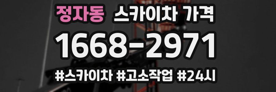 정자동 스카이차 가격