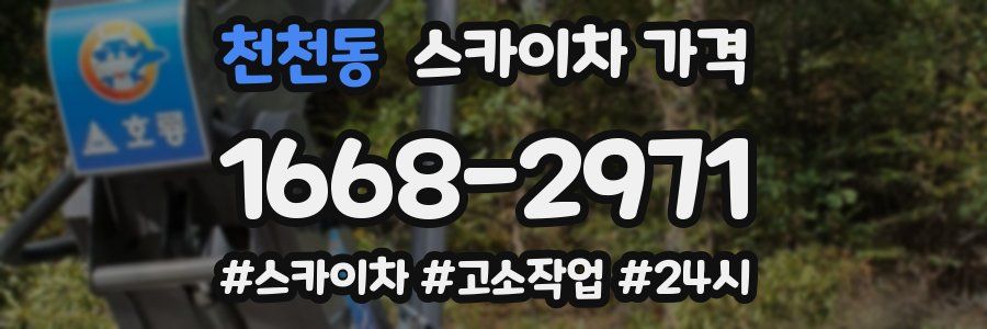 천천동 스카이차 가격