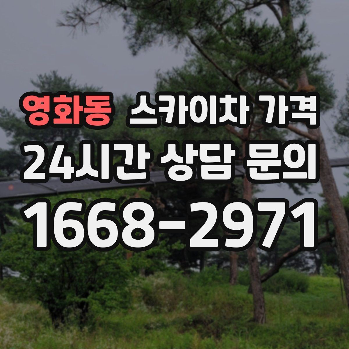 영화동 스카이차 가격 문의 전에 이것만 정리해도 충분합니다