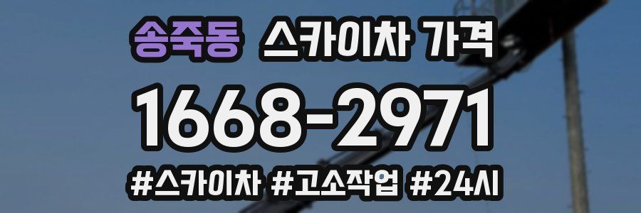 송죽동 스카이차 가격