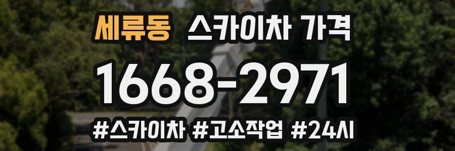 세류동 스카이차 가격