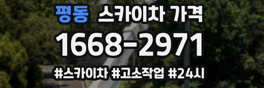 평동 스카이차 가격