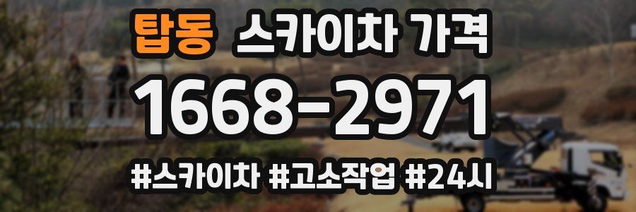 탑동 스카이차 가격