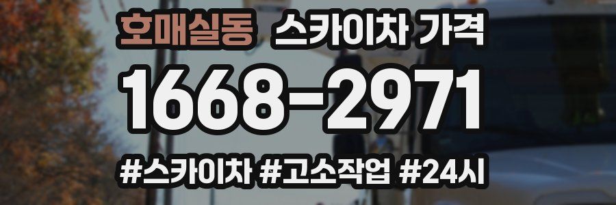 호매실동 스카이차 가격