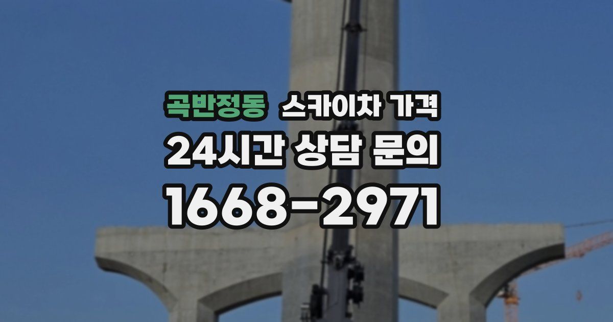 곡반정동 스카이차 가격