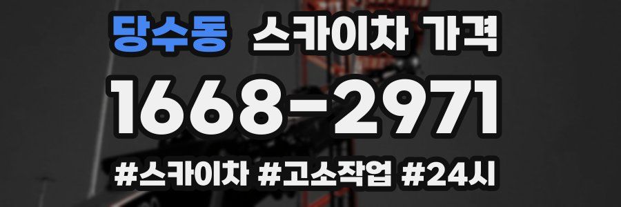 당수동 스카이차 가격