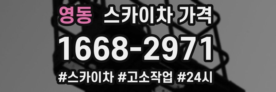 영동 스카이차 가격