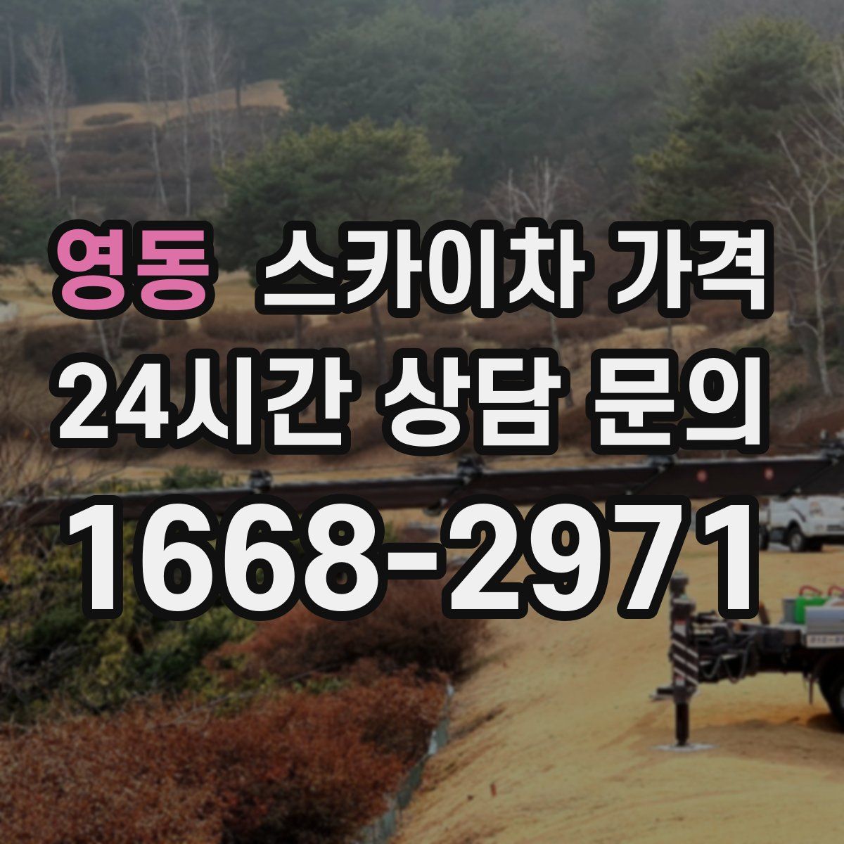 영동 스카이차 가격