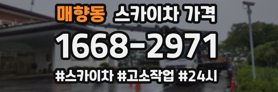 매향동 스카이차 가격