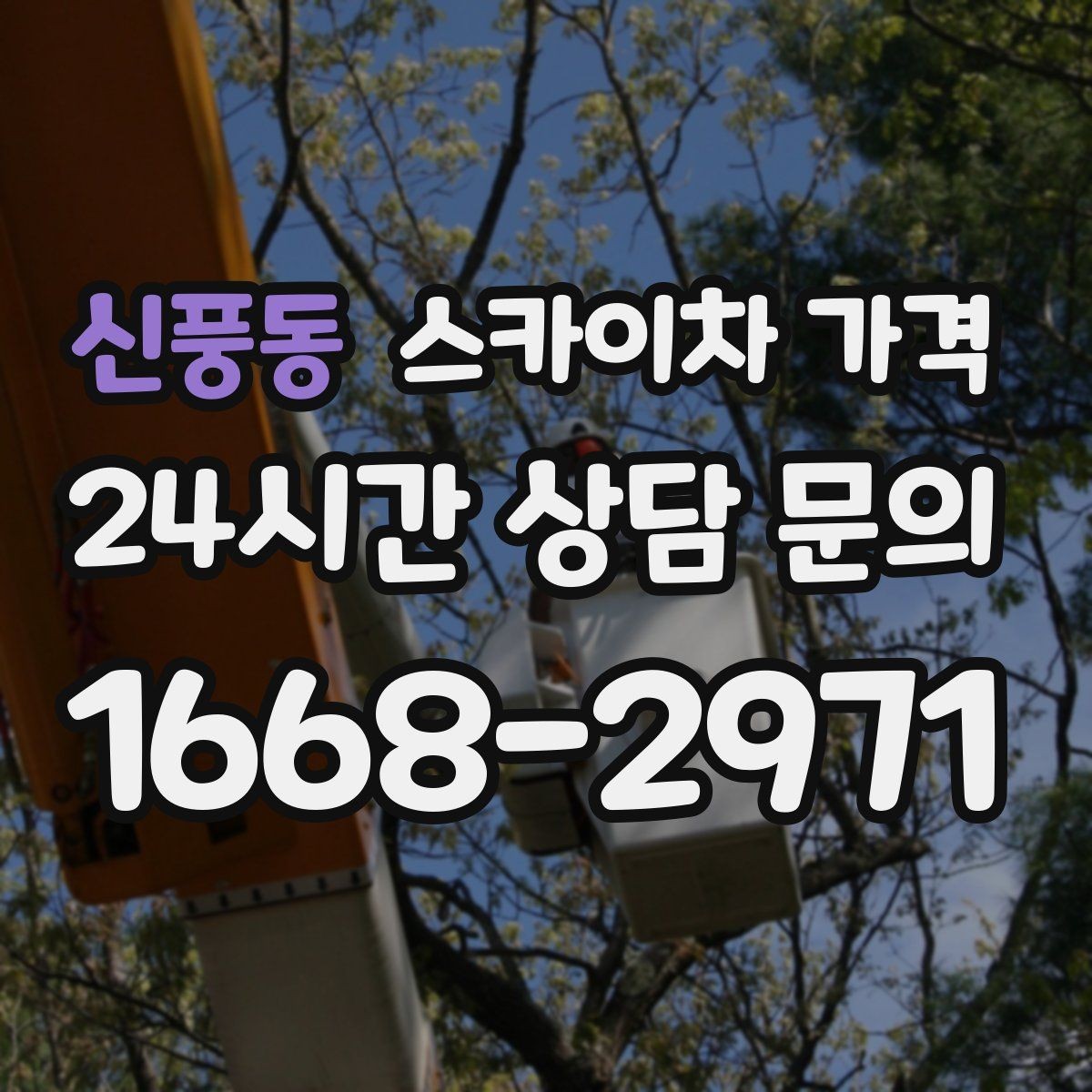 신풍동 스카이차 가격 같은 건물 여러 면 작업이면 달라질까