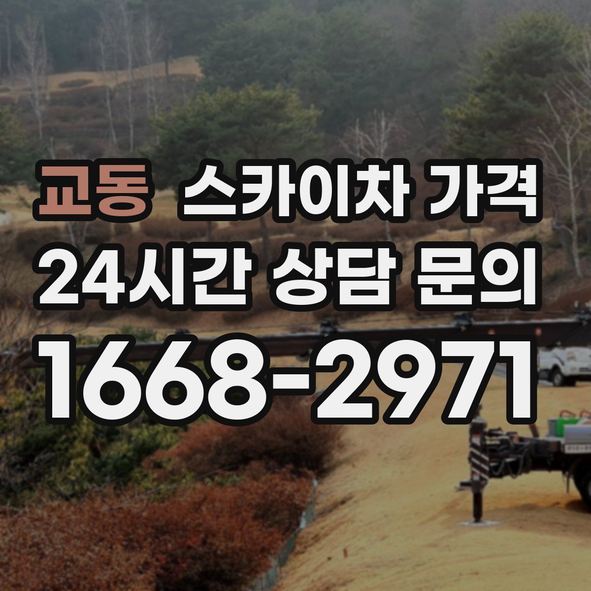 교동 스카이차 가격