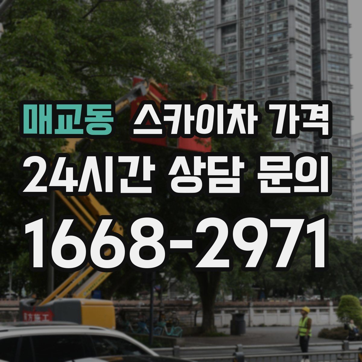 매교동 스카이차 가격 결국 '현장 조건'이 가격을 좌우합니다