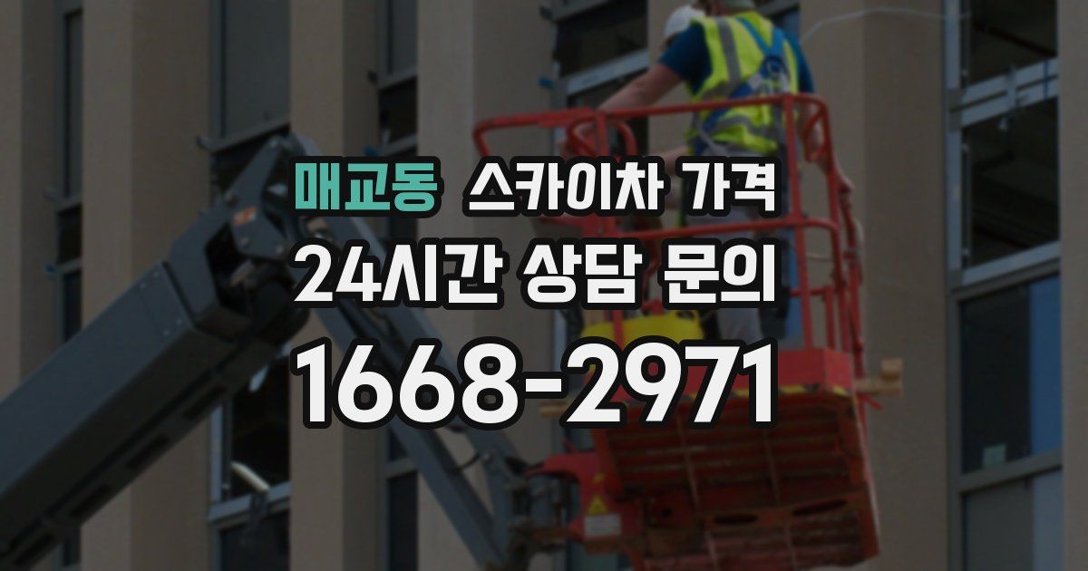 매교동 스카이차 가격