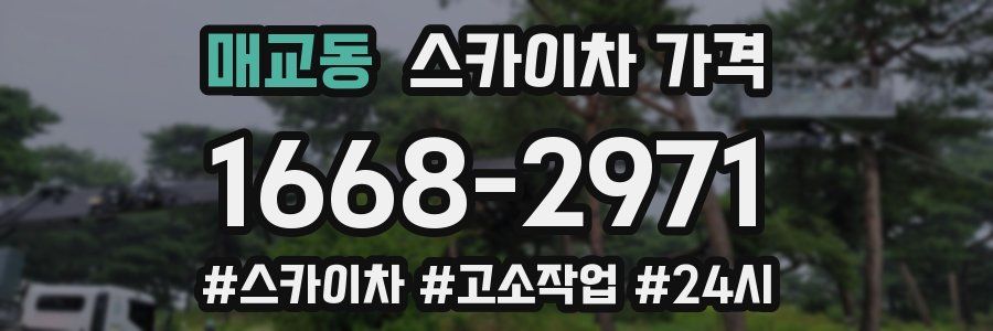 매교동 스카이차 가격