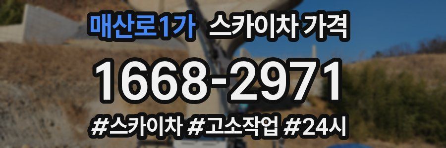 매산로1가 스카이차 가격