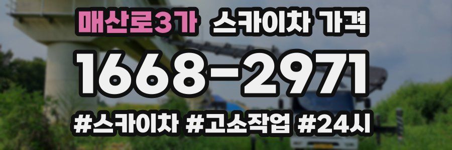 매산로3가 스카이차 가격