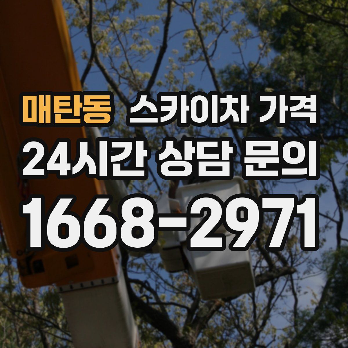 매탄동 스카이차 가격