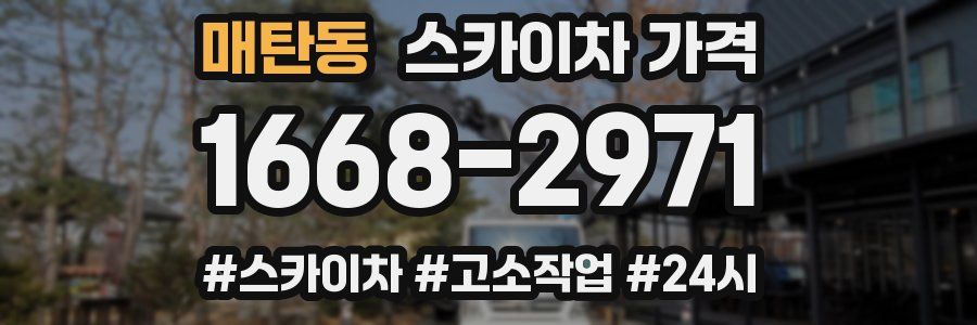 매탄동 스카이차 가격