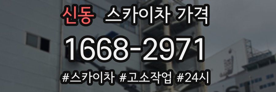 신동 스카이차 가격