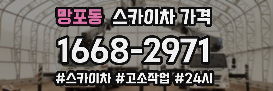 망포동 스카이차 가격