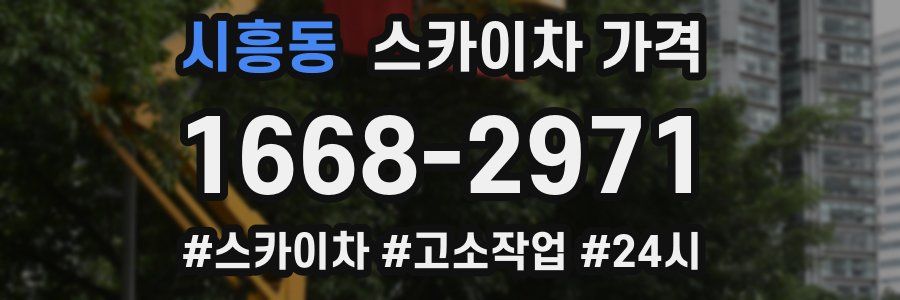 시흥동 스카이차 가격