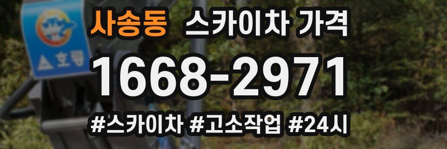 사송동 스카이차 가격