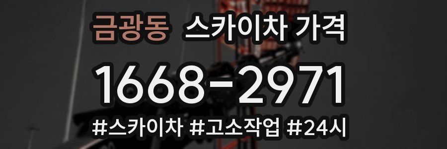 금광동 스카이차 가격