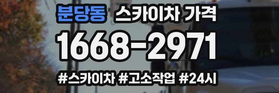 분당동 스카이차 가격