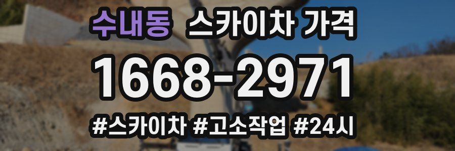 수내동 스카이차 가격