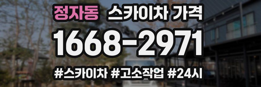 정자동 스카이차 가격