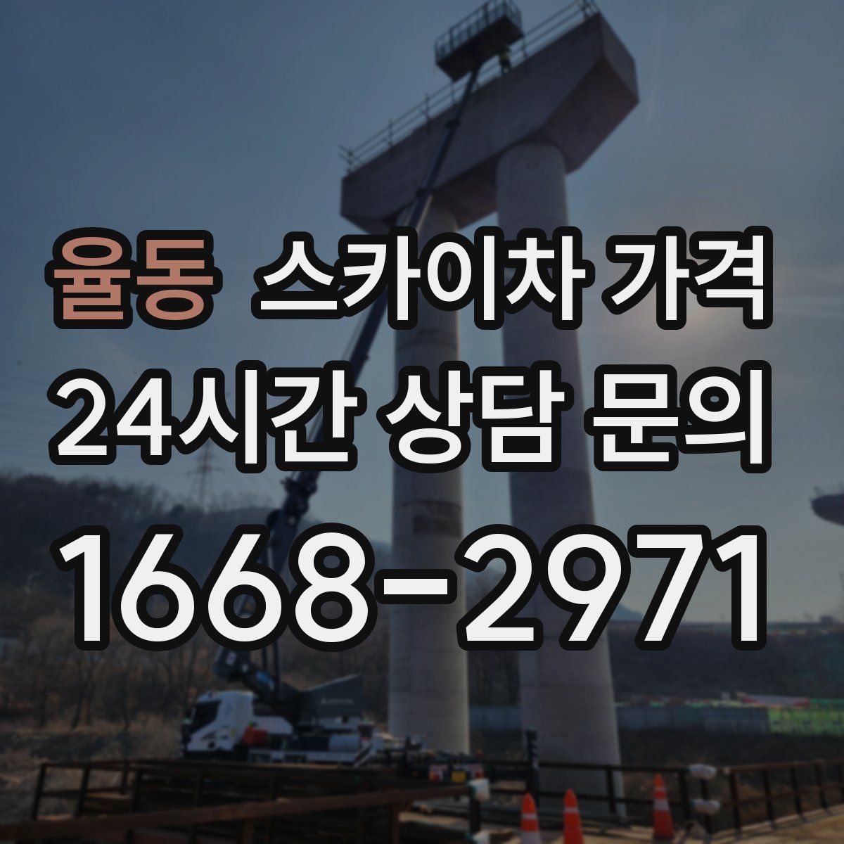 율동 스카이차 가격