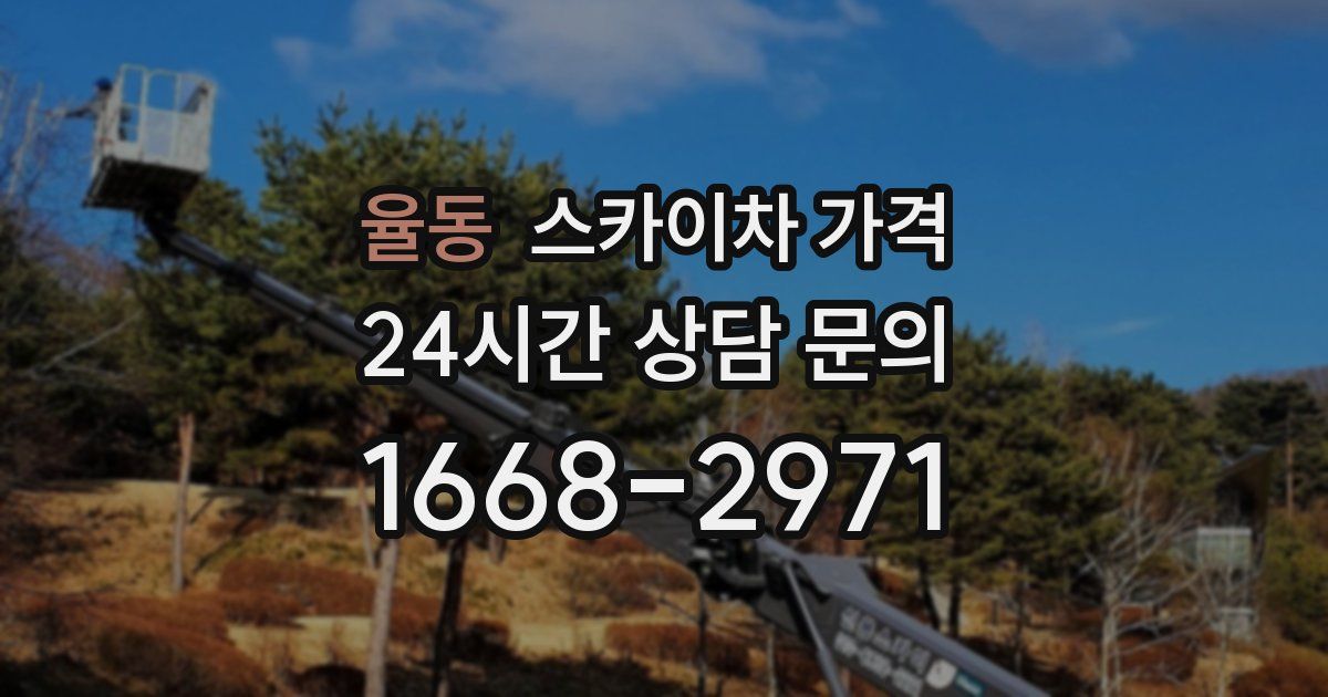 율동 스카이차 가격