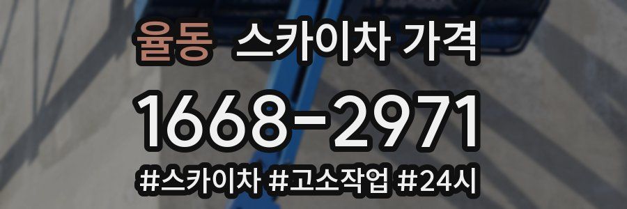 율동 스카이차 가격