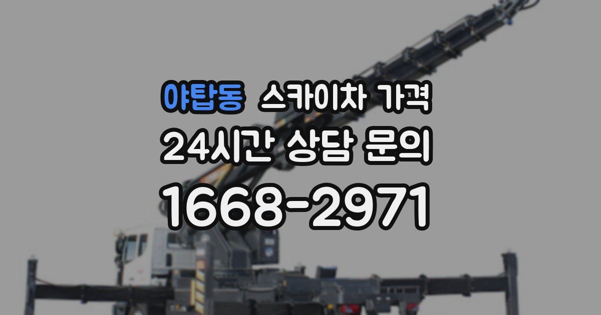 야탑동 스카이차 가격