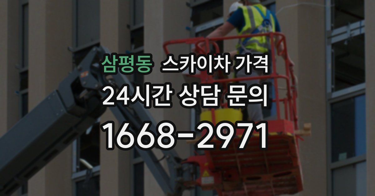 삼평동 스카이차 가격
