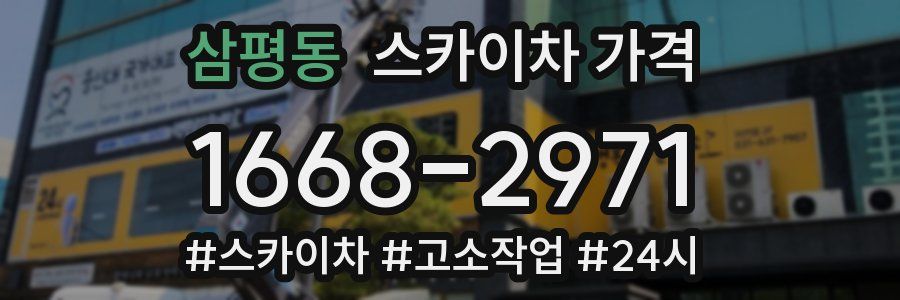 삼평동 스카이차 가격