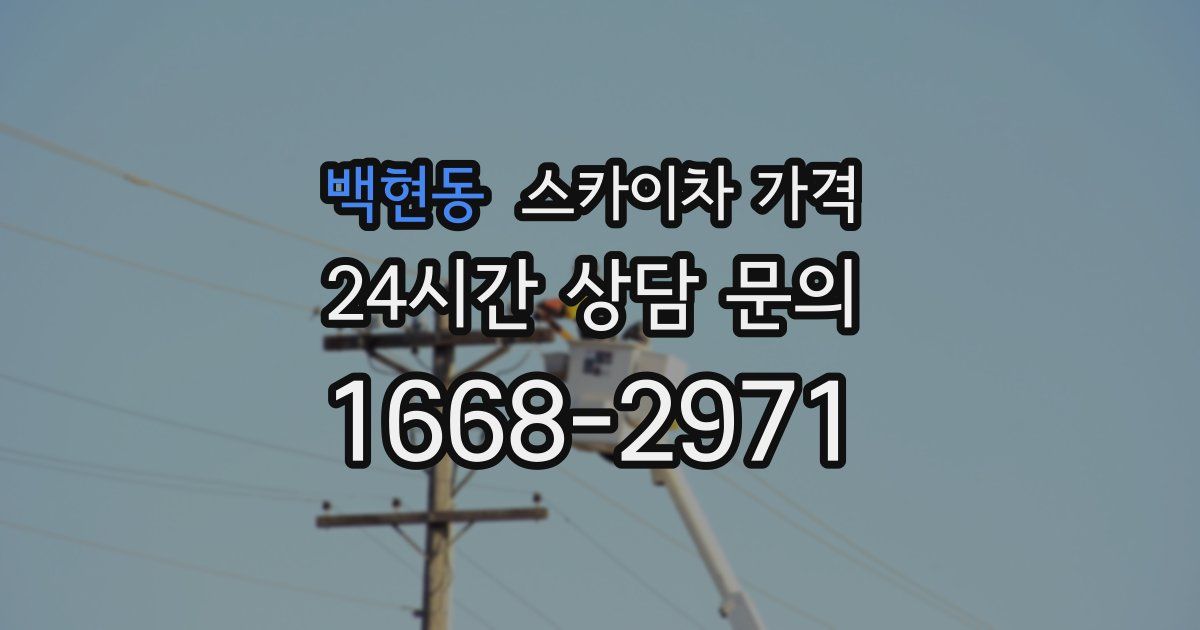 백현동 스카이차 가격