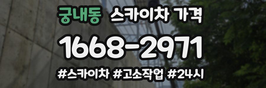 궁내동 스카이차 가격