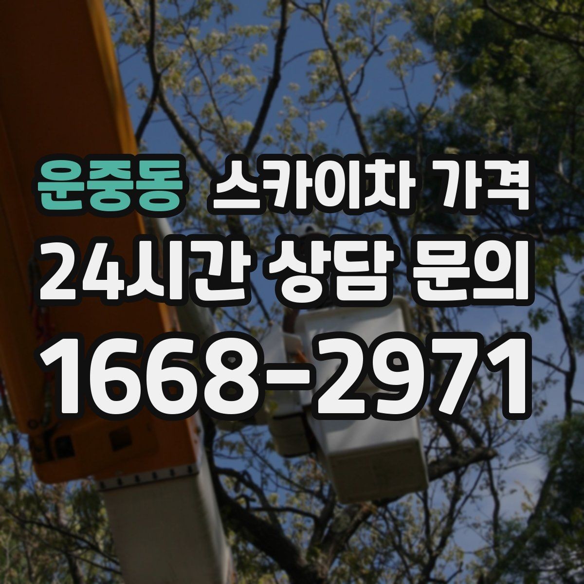 운중동 스카이차 가격 작업 높이(층수/실제 높이) 측정이 중요한 이유