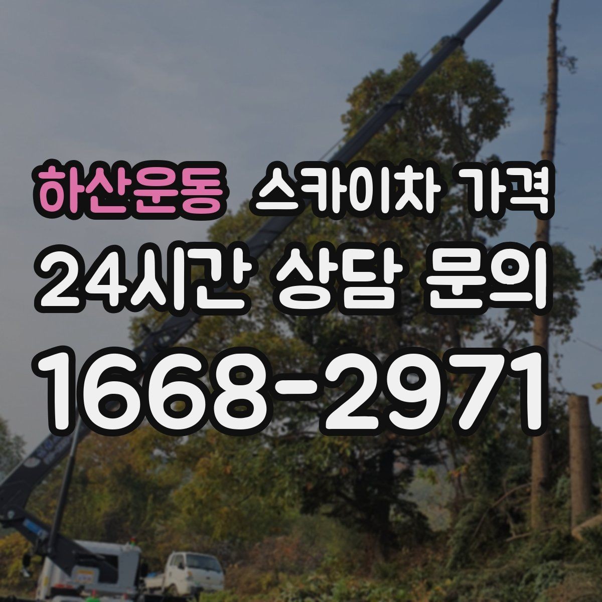 하산운동 스카이차 가격 가지치기 작업은 바람이 변수인 이유