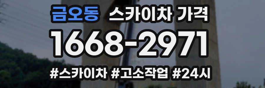 금오동 스카이차 가격