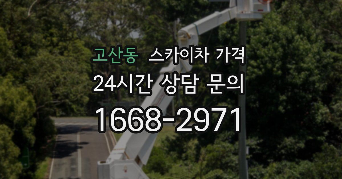 고산동 스카이차 가격