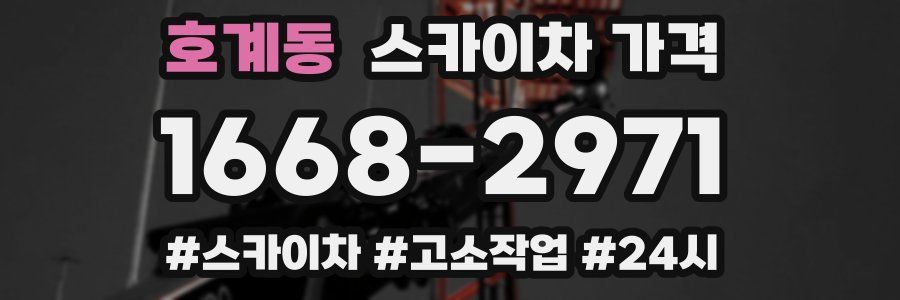 호계동 스카이차 가격