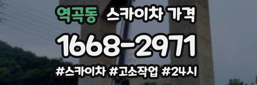 역곡동 스카이차 가격