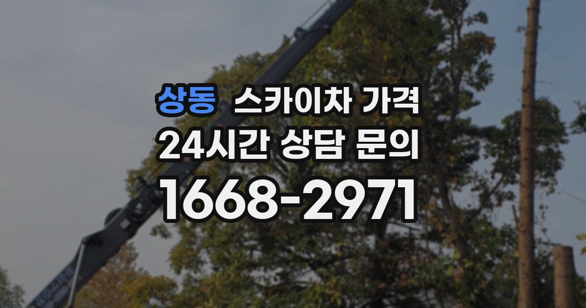 상동 스카이차 가격