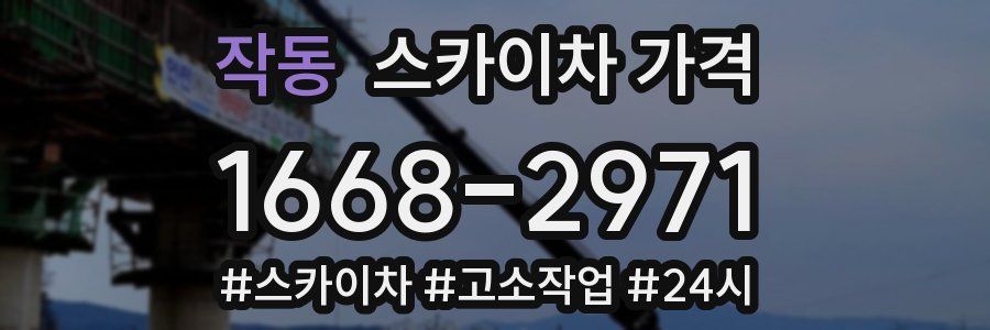 작동 스카이차 가격