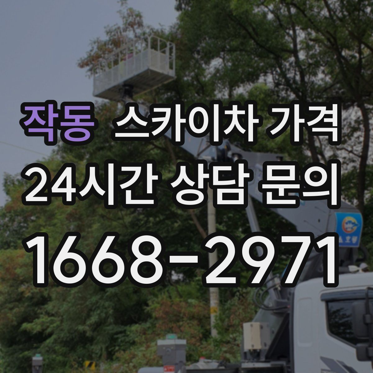 작동 스카이차 가격